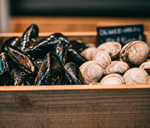 Fresh Green Mussels
