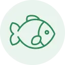 fish-2-2