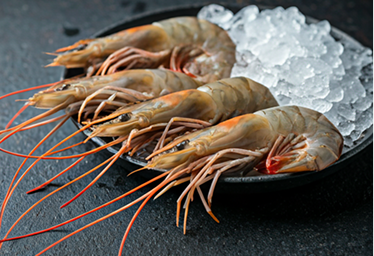 Jumbo Tiger Prawns