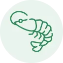 seafood-2-2