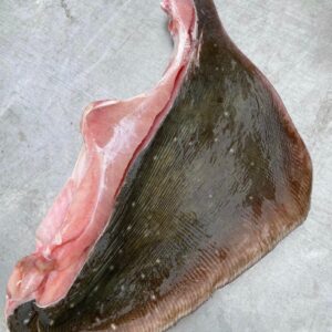 Stingray - Test Product 1